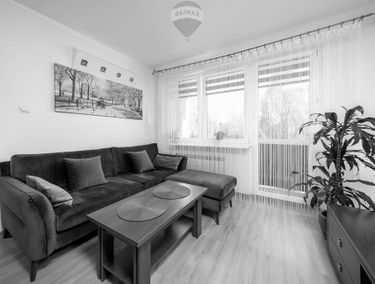 Zdjęcie 15263037