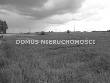 Zdjęcie 15263163