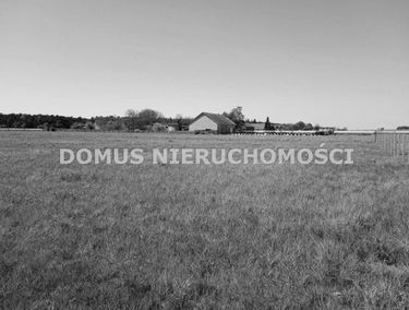 Zdjęcie 15263168