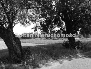 Zdjęcie 15263451