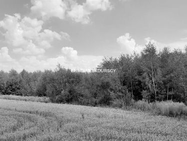 Zdjęcie 15264361