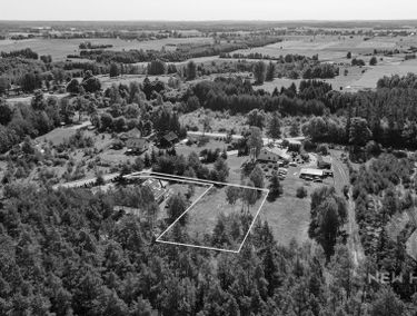 Zdjęcie 15264615