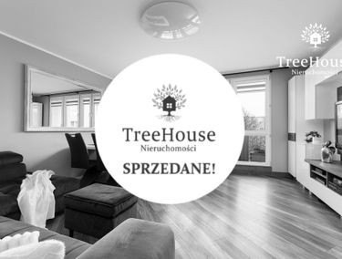 Zdjęcie 15264931