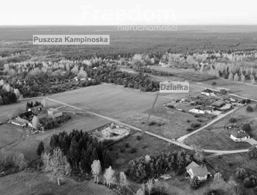 Zdjęcie 15265112