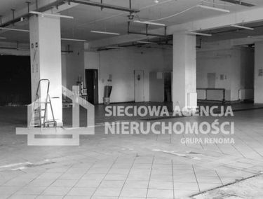 Zdjęcie 15265504