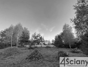 Zdjęcie 15265797