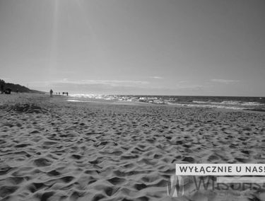 Zdjęcie 15266042