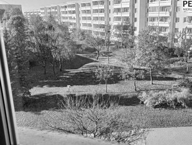 Zdjęcie 15266573