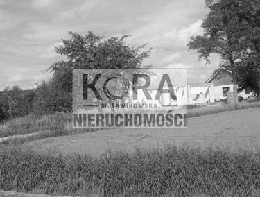 Zdjęcie 15268057