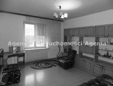Zdjęcie 15268449