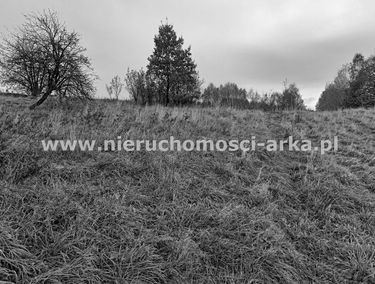 Zdjęcie 15268861