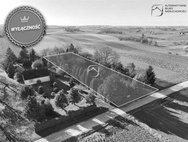 Zdjęcie 15269161