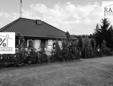 Zdjęcie 15269732