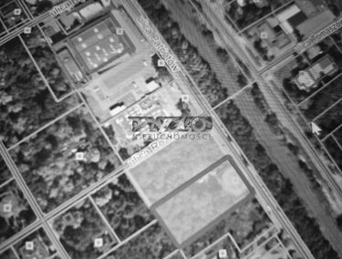 Zdjęcie 15270646