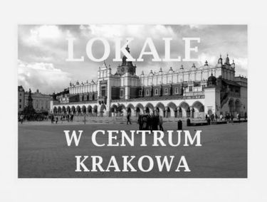 Zdjęcie 15271066
