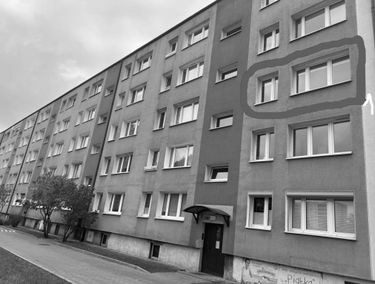 Zdjęcie 15272209