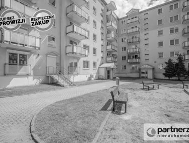 Zdjęcie 15273404