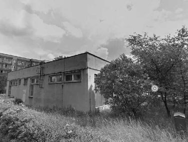Zdjęcie 15273932