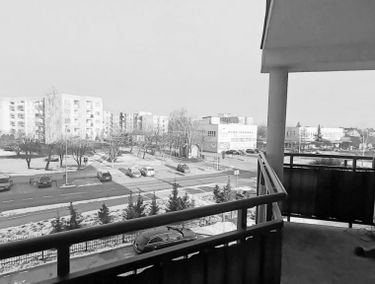 Zdjęcie 15274192