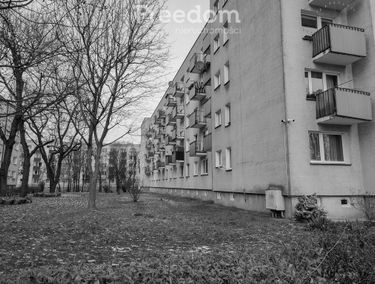 Zdjęcie 15274770
