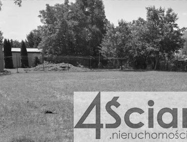 Zdjęcie 15274854