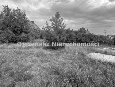 Zdjęcie 15275391