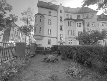 Zdjęcie 15275754