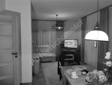 Zdjęcie 15275906