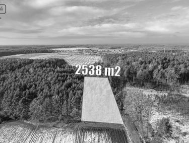 Zdjęcie 15277141