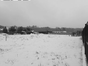 Zdjęcie 15277309