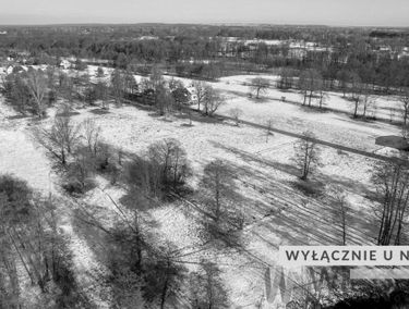 Zdjęcie 15277596