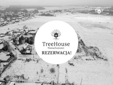 Zdjęcie 15277712