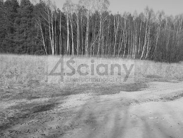 Zdjęcie 15277756