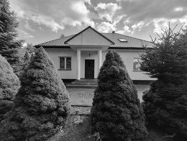 Zdjęcie 15278746