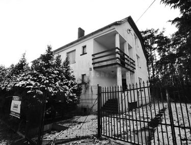 Zdjęcie 15278777