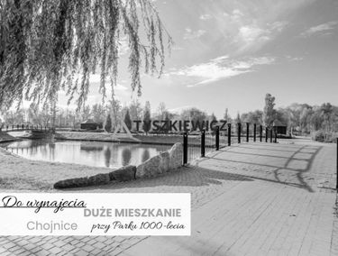 Zdjęcie 15279430