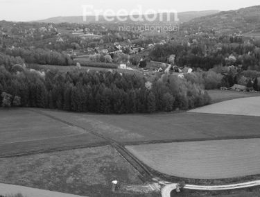 Zdjęcie 15279609