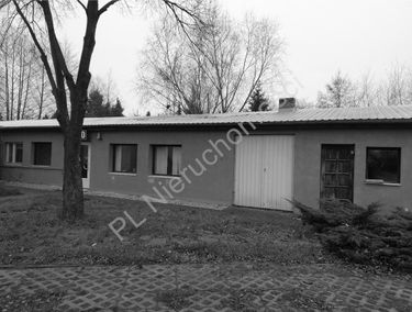 Zdjęcie 15280177