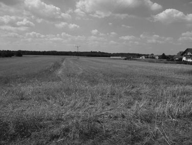 Zdjęcie 15280236