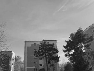 Zdjęcie 15280394