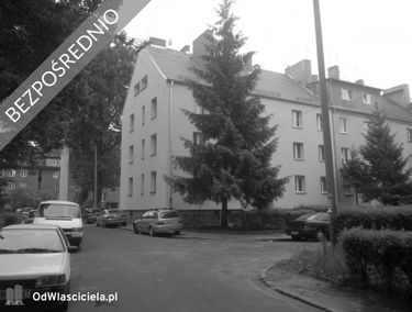 Zdjęcie 15280461