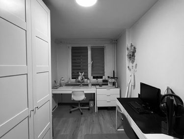 Zdjęcie 15281303