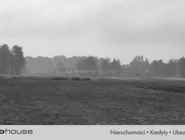 Zdjęcie 15281383