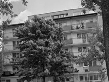 Zdjęcie 15281786