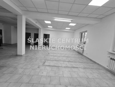 Zdjęcie 15281807