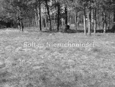 Zdjęcie 15283077