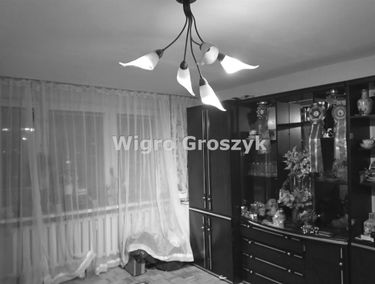 Zdjęcie 15283803