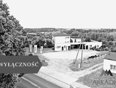 Zdjęcie 15283937