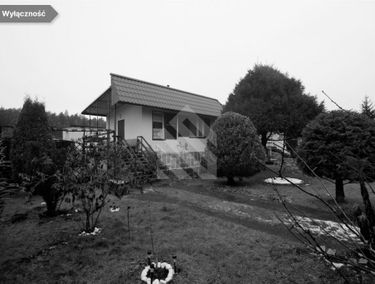 Zdjęcie 15284401