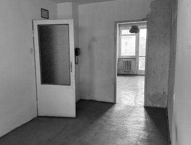 Zdjęcie 15284960